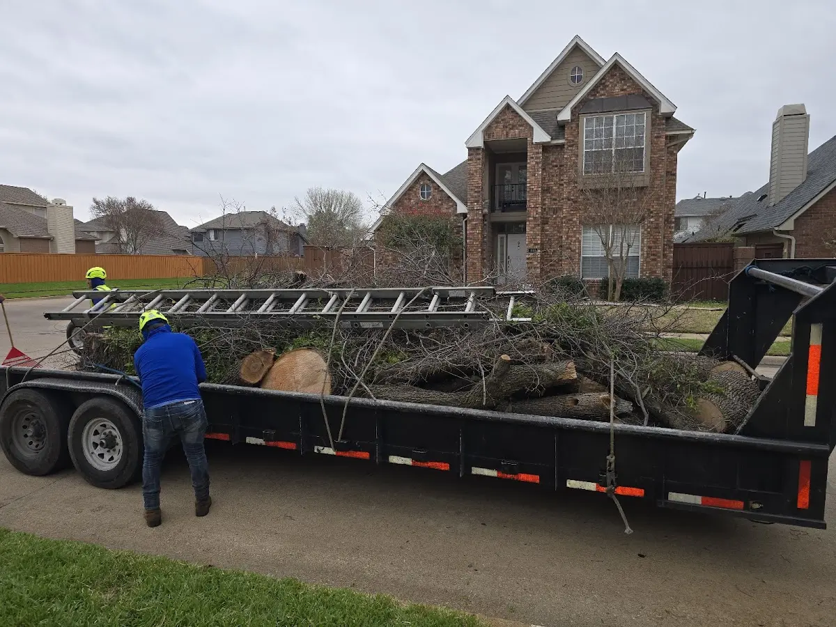 Expert Tree Removal with proper safety equipment in Warriors Mark